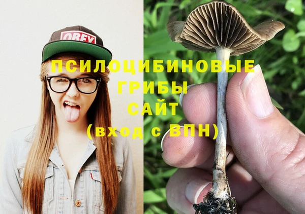 мяу мяу кристалл Лихославль