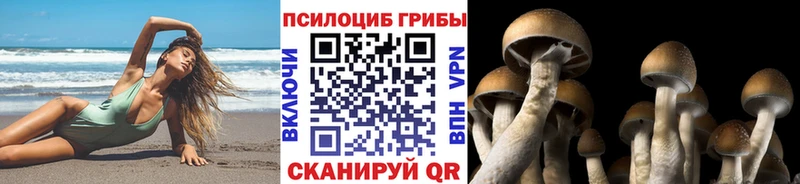 Галлюциногенные грибы прущие грибы  Купить где  Лихославль 
